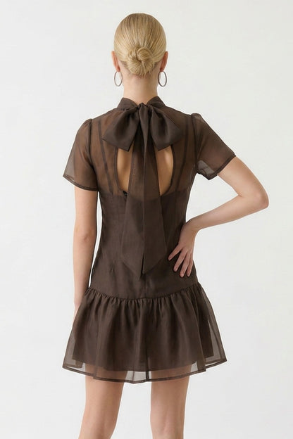Soft Organza Mock Neck Mini Dress With Removable Slip Dress-Mocha