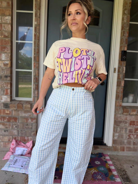 Washed Gingham Printed Twill Barrel Pants